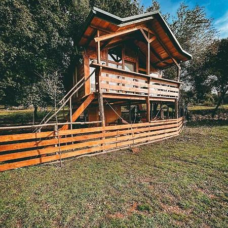 The Treehouse Of The Dragon Appartement Ioannina Buitenkant foto