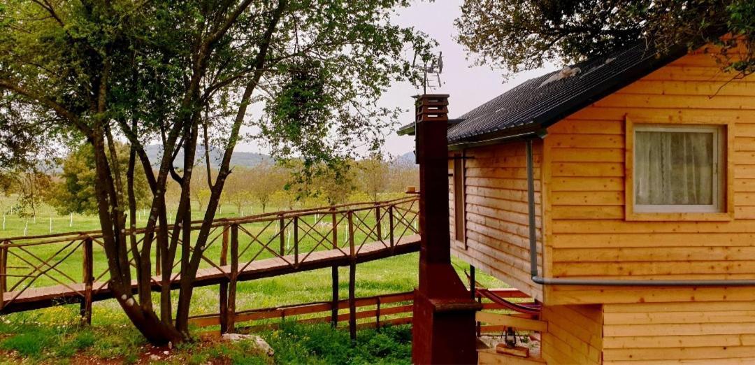 The Treehouse Of The Dragon Appartement Ioannina Buitenkant foto