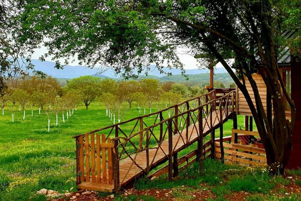 The Treehouse Of The Dragon Appartement Ioannina Buitenkant foto