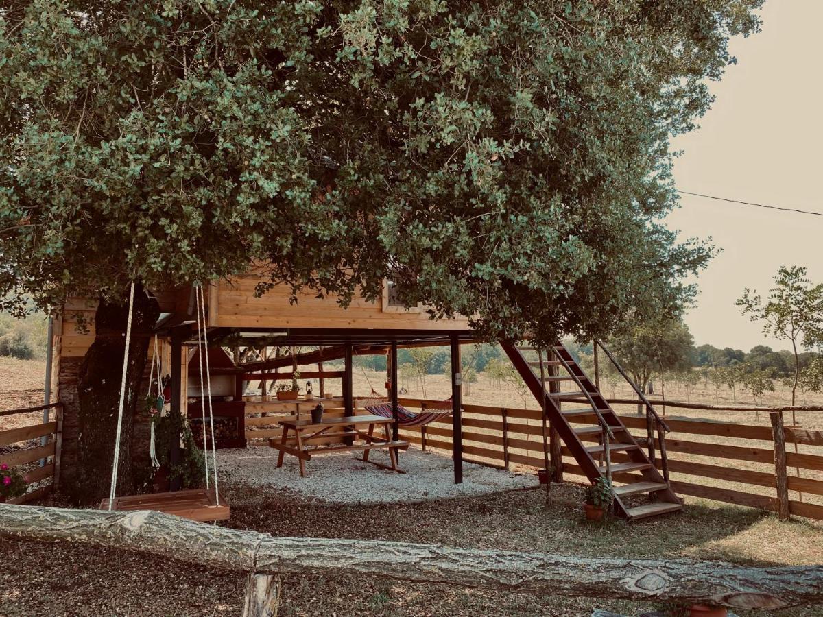 The Treehouse Of The Dragon Appartement Ioannina Buitenkant foto